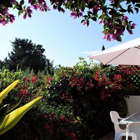 Townhouse In Paradise Gardens Paphos Extérieur photo